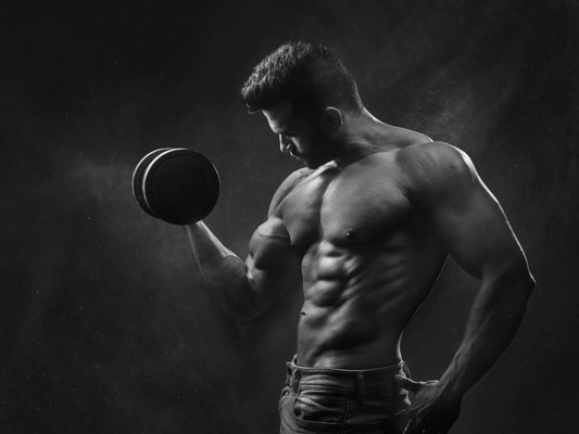 Creatine Monohydrate Benefits for Beginners - Energix Lab