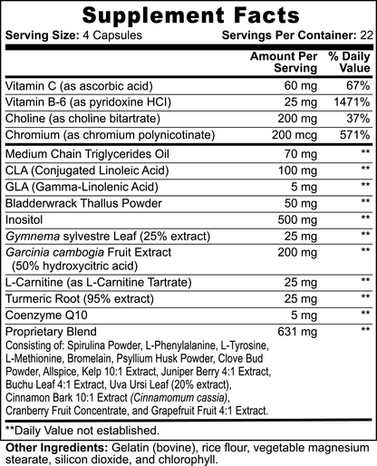 Fat Burner with MCT-Energix Lab